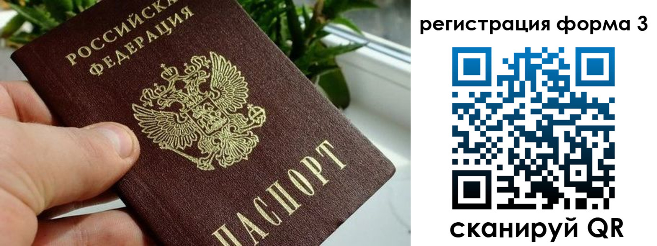 прописка штамп в Горняке
